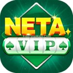 NETA VIP