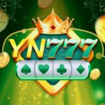 YN 777